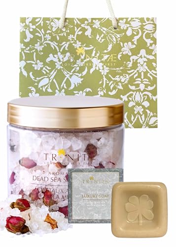 ygleBzA}oX\g([Y){C\[v C̓D&zzo^npܕt^CoX\g^܁^oXObY^C̉^o^_Y^i`^CRX^~l^΂^܂ze^AjeB^ TRINITAE^蕨^v