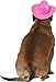 Rubies Cowgirl Pet Hat with Faux Tiara for Dogs or Cats, M/L