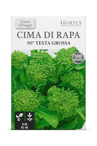 Semi Graffitati di CIMA DI RAPA 500 g – Ciclo 90 Giorni – Alta Germinazione – Semi Pelletizzati per Orto e Serra- Verdure Ricche di Vitamine e Antiossidanti