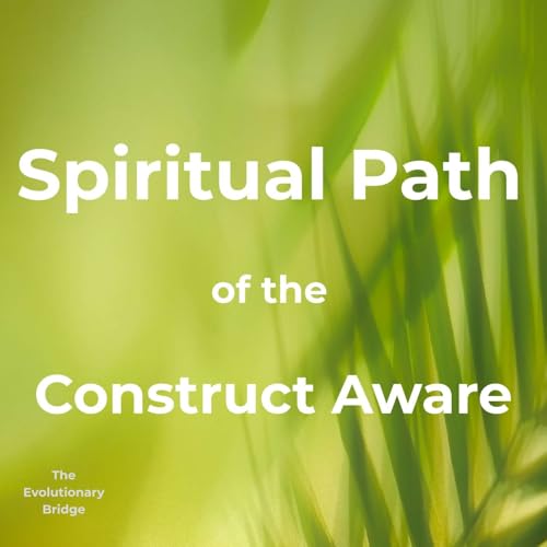 The Spiritual Path of The Construct Aware
