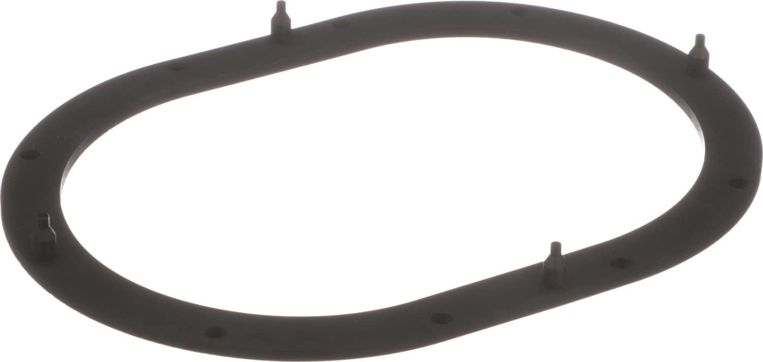 Delphi FA10039 Fuel Pump Tank Seal