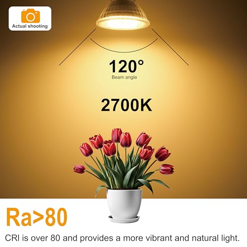 MR16 GU5.3 LED Bulbs 6.5W Replace 60W Halogen Equivalent 2700K Warm White 510Lm, 12V Low Voltage Non-Dimmable 120° Flicker-Free Spotlight for Landscape Track Lighting, Pack of 6 by WSMCN - Image 6