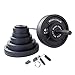 Body-Solid (OSB455) Cast Iron Olympic Weight Plate Set, Free Weights Dumbbell Plates with 2 Inch Standard Hole for All Olympic Barbell Types, 455 lb Total Weight Sets, Black