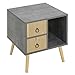 EUGAD Mesilla de Noche con 2 Cajones y 1 Compartimento de Almacenamiento, Mesita Auxilair de Diseño Industrial para Salón Dormitorio, Gris+Roble Claro 0105ZZ