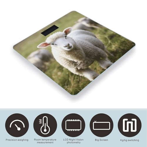 Báscula Digital de Baño con Plataforma de Vidrio Templado miniatura 3