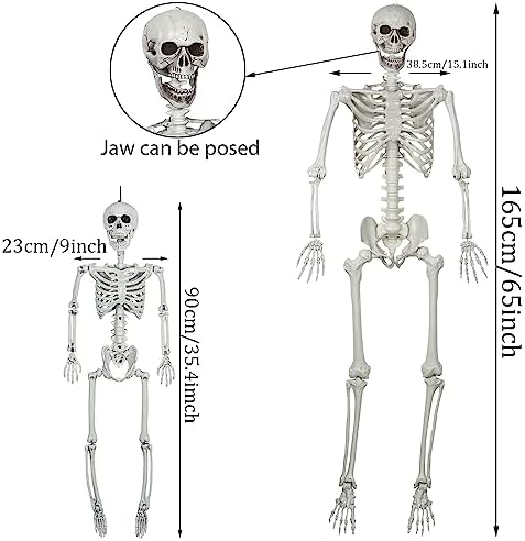 41CW7U2AxML._AC_ SUNREEK 2 Set Moving Halloween Skeleton - Full Body Skeleton Bones with Movable Joints for Halloween Decoration, Scary Scene, Party Decoration (1.6m & 0.9m)