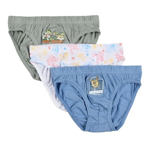 Nickelodeon Universe Pat Patrouille, Lots de 3 Slips, Garçon (FR/ES, Âge, 3 Ans, 4 Ans, Taille Normale, Bleu)