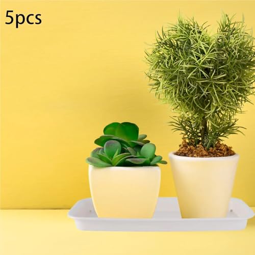 Lot de 5 soucoupes pour plantes blanches étanches et durables pour extérieur