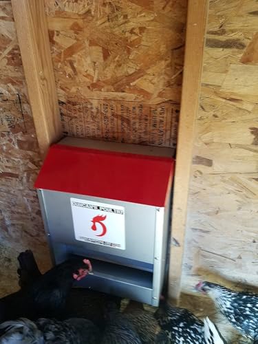 DUNCAN'S FAMILY FARM STORE Duncans Poultry 30 LB Space Saver Wall Feeder