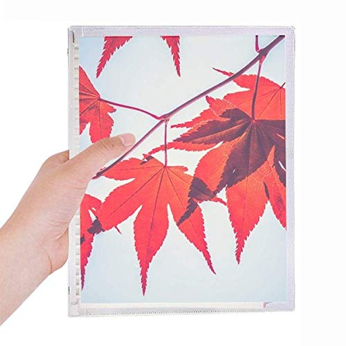 Carnet de notes en spirale feuilles d'érable rouge, idée cadeau nature