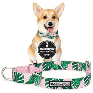 Lucky Love Dog Martingale Hundehalsband