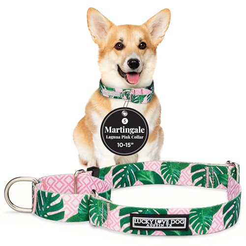 Lucky Love Dog Martingale Hundehalsband