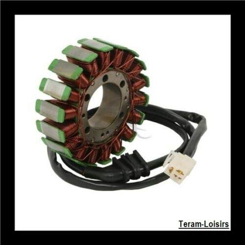 TERAM LOISIRS Stator Allumage Alternateur pour Honda CBR 900 RR FIREBLADE de 1993 1994 1995 - CBR 1100 XX de 1997 1998 Super Black Bird NEUF France