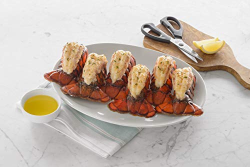 Lobster Gram Nothing But Tails Gift Bucket, 1.63 Pound (Pack of 1)