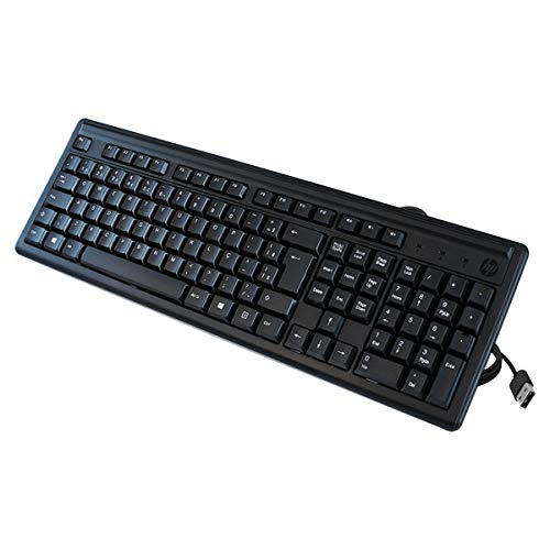 Hp 100 Wired Keyboard With Usb Compatibility,Numeric Keypad, Full Range Of 109 Key(Including 12 Function Keys And 3 Hotkeys),Adjustable Height And Contoured Design.3-Years Warranty (2Un30Aa)