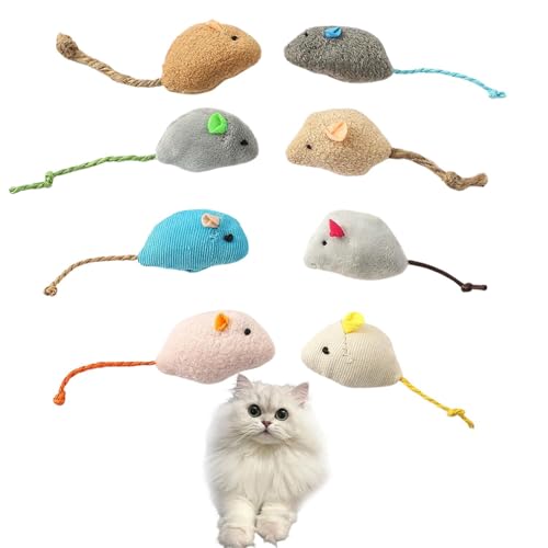 Lifetips GL]`bNOwA Exotic Longhair Lp lY~ʂ 8Zbg qL L V XgXU ^s ӂӂf L炵  ybgObY