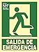 Normaluz RD14181 - Señal Luminiscente Salida De Emergencia 22,4x30cm Clase B PVC 0,7mm Evacuación Homologada, Color Verde