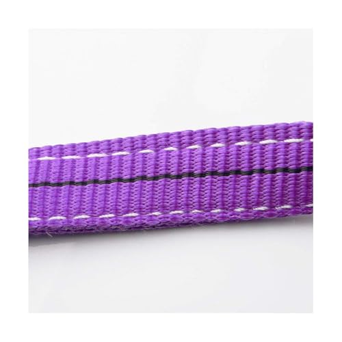 Sangles d'élingue de levage polyester 2M évitant les rayures de traction