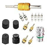 yorpyep Air Conditioning Valve Core Kit, High and Low Pressure Dust Cap Valve Core Combination Set, AC R...