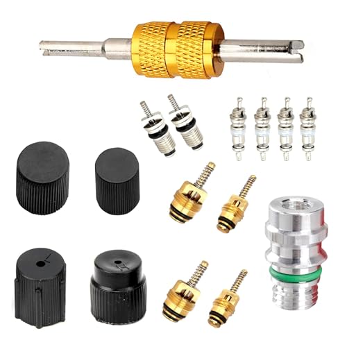 Yorpyep Kit de núcleo de válvula de aire acondicionado, alta y baja presión, juego de combinación de...