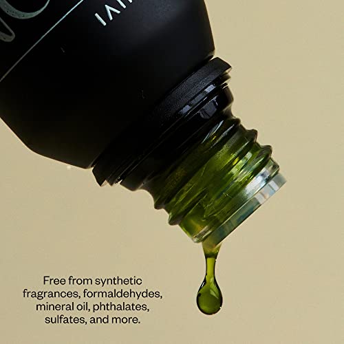 Vitruvi Moonbeam Floral Essential Oil Blend With Rose, Wild Orange And Jasmine Oil (0.5 Fl Oz) #TOP3