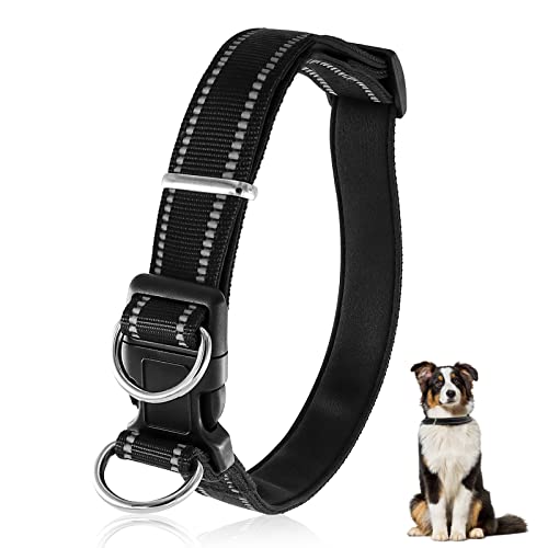 Hundehalsband mit Schnellverschluss Schnalle Double D-Ring Classic Verstellbar Reflektierendes Nylonhalsband für Kleine Mittel Große Hunde (L(Nacken:38-64cm,Empfohlenes Gewicht:15-50kg)) Cover