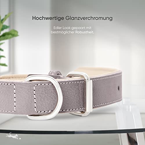 FREUDENTIER Hundehalsband aus Leder, Made in EU, gefüttert & super komfortabel, hochwertiges breites Lederhalsband aus Vollnarbenleder, Model “Amstelpark” (42-52cm Halsumfang, Graubraun)