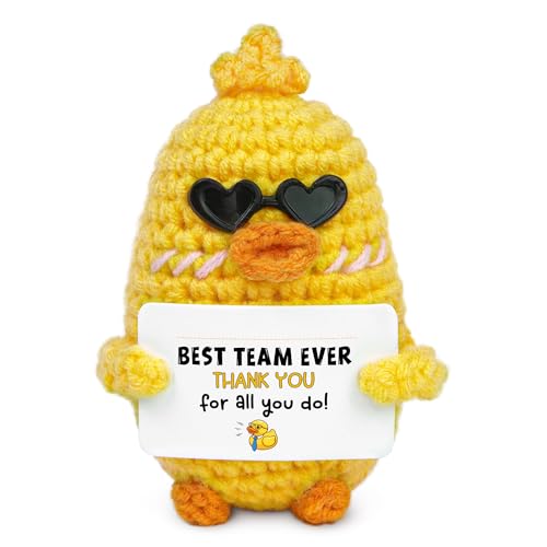 OASSIE Christmas Thank You Gifts for Coworkers - Positive Duck Crochet with Card -...