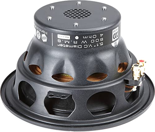 Subwoofer da 250 mm High End. 5,1