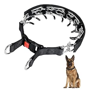 PUPPBUDD Collar de Puntas para Perros, Collar de Entrenamiento para Perros Ajustable con Hebilla para Perros pequeños, medianos y Grandes