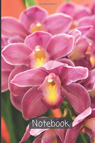Cymbidium Notebook: A journal which writes ideas, needs, observations and new ways of thinking | lined Diary Cymbidium Design Notebook (Cymbidium Notebook and Journal)