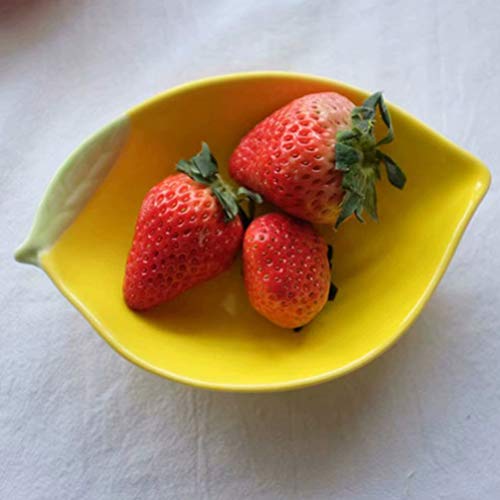 Upkoch Ceramic Appetizer Plate Lemon Plate Dessert Plate Salad Pasta Bowls Food Serving Tray For Fruit Cheese Dessert Snack #TOP2
