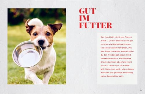 Oh Happy Dog!: Alles für ein glückliches, gesundes und nachhaltiges Hundeleben