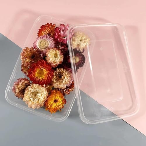Caja de flores secas para velas decorativas y collares miniatura 1
