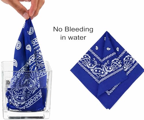 Image of SPIN CART Soft Breathable Cotton Paisley Bandana Handkerchief For Hair Head Bike For Men & Women