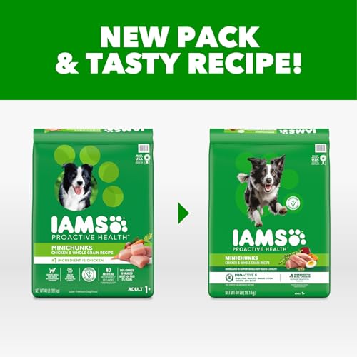 IAMS Proactive Health Adult Minichunks Premium Dry Dog Food, Adult Dog Food Dry Recipe, 40 lb. - Image 3