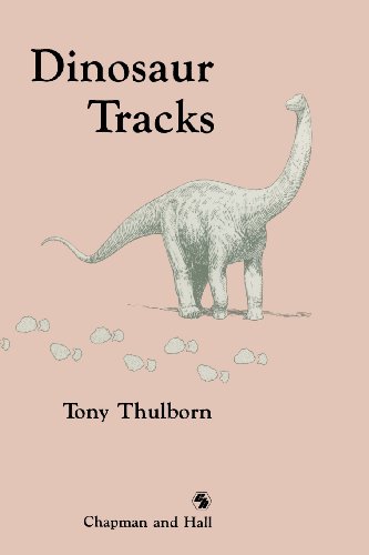 Dinosaur Tracks view 2