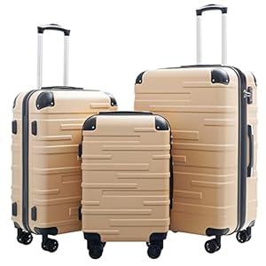 Coolife Luggage Expandable(only 28″) Suitcase 3 Piece Set with TSA Lock Spinner 20in24in28in (champagne)