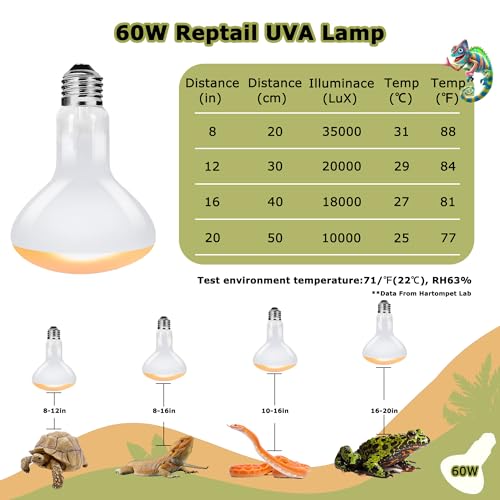 Image of 60W Reptile Heat Lamp Bulbs, 2.5 Inch UVA Basking Spot Light for Bearded Dragon, Lizard, Tortoise, Chicks & Amphibians - Simulated Natural Sunlight, Daylight Bulb for Terrarium E26 | 2 Pack