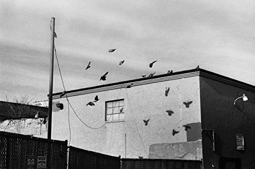 Permanent Drift Walking in Olde Kensington la nostalgie d'un quartier gravée dans le temps