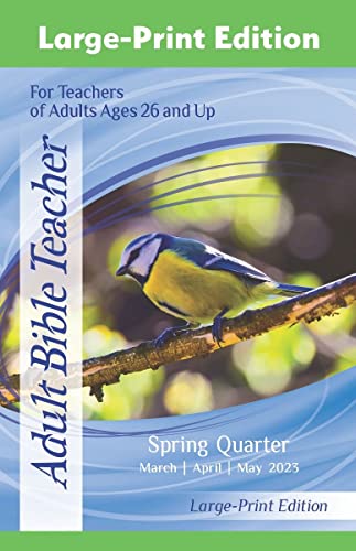 bambinoLUK Brain Training Early Bloomer Collection Set 1