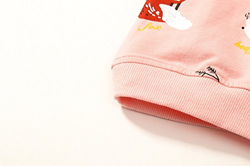 Image of Bumeex Girls Cotton Crewneck Cute Sweatshirts The Hedgehog and The Fox Pink 2-7T