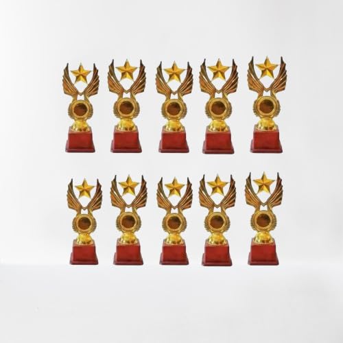 Metallic Fibre Trophy Wing Star 7.5 Inch Pack of 10-image-31