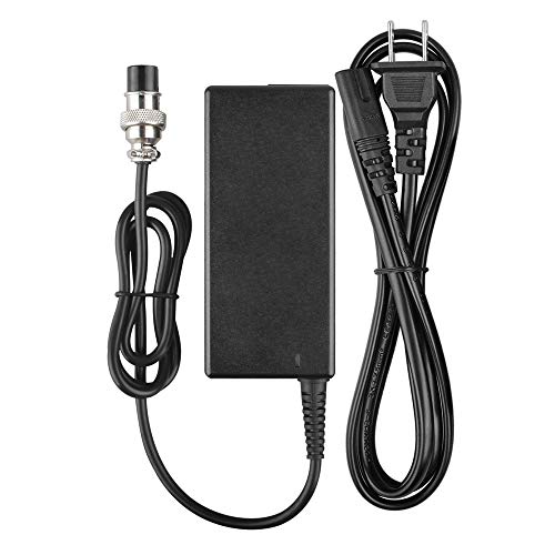 Accessory USA 24V Battery Charger for Razor E100S E150 E200S E225S E300S E325S Scooter, Razor E175 E200 E300 MX350 Mini Chopper Ground Force Mod