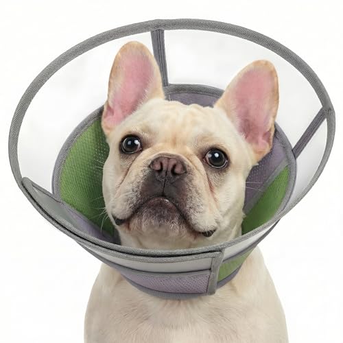 Image of KOESON Soft Medium Dog Cone Collar After Surgery to Stop Licking