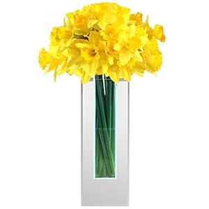 Belle Vous Glazen Bloemen Vaast – 32,7 cm – Grote Rechthoekige Kristal Heldere Planter met Spiegel Beplating Voor Huis/ Kantoor Decoratie en Bruiloften/ Feest Kopstukken Decoraties Houder