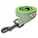 Pawtitas Padded Dog Leash Puppy Leash Reflective Dog Leash Padded Handle Highly Reflective Dog Training Leash 6 ft Leash Green Leash Medium Dog Leash/Large Dog Leash Green Dog Leash