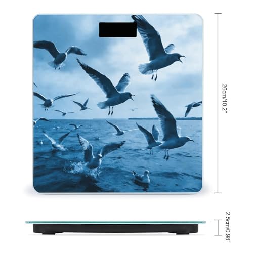 Báscula digital de baño con pantalla LCD y sensores precisos miniatura 2