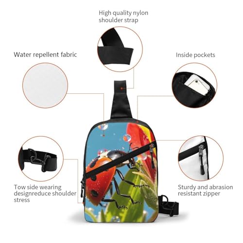 Funny Ladybug Print Men's and Women's Foldable Crossbody Bag,Sports Crossbody Bags,and Daily Chest Bags3