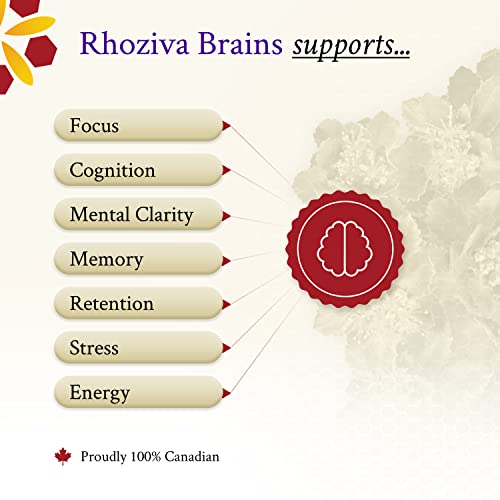 Rhoziva Brain Supplement. Memory, Focus, Cognitive Health, Concentration Support & Natural Stress Relief. Bacopa Monnieri, Rhodiola Rosea, Biotin. Nootropic Brain Supplement. 60 Capsules (Pack Of 1) #TOP6